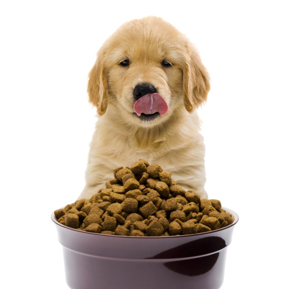 Pawfect DOG Food