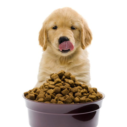 Pawfect DOG Food