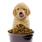 Pawfect DOG Food
