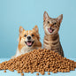 Pet snack