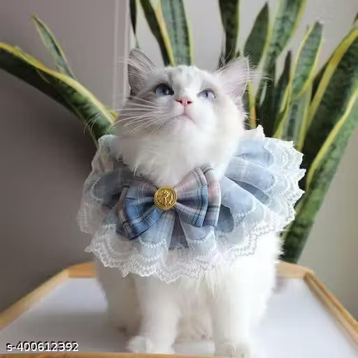 Bib with Bow Collars